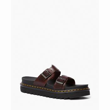 Dr Martens Férfi Myles Brando Bőr Buckle Slide Szandál Gesztenyebarna